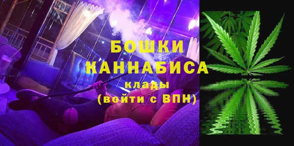 дурь Переславль-Залесский