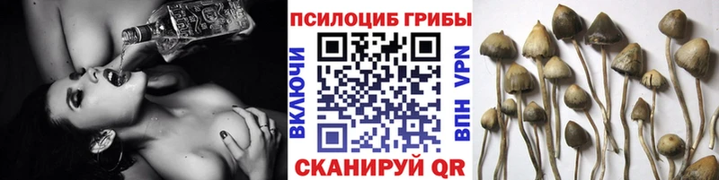Галлюциногенные грибы Cubensis  ОМГ ОМГ tor  Алатырь 